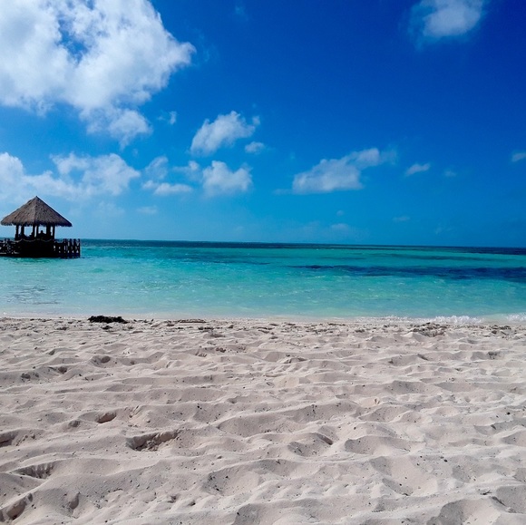 Meet your Posher, Marcie - Picture 1 of 3